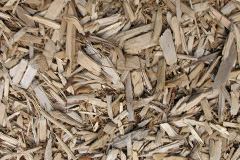 biomass boilers Penponds